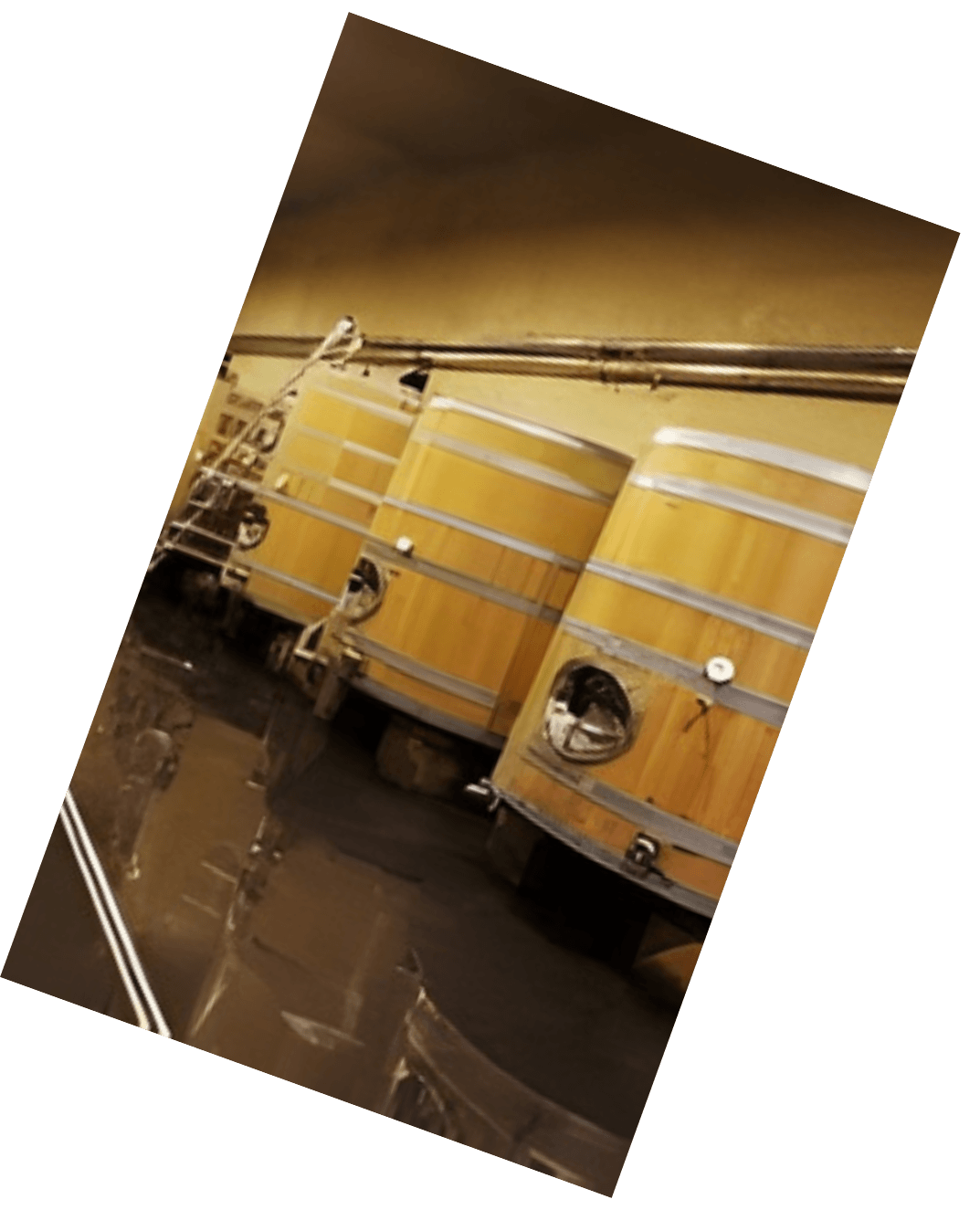 Vinification